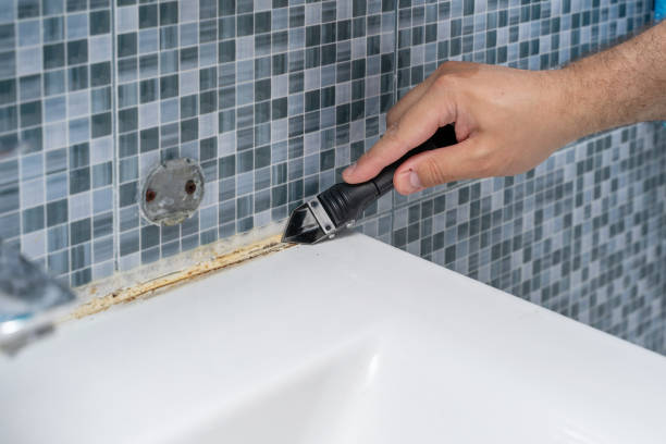 Best Fast Mold Removal  in Lagrange, IN